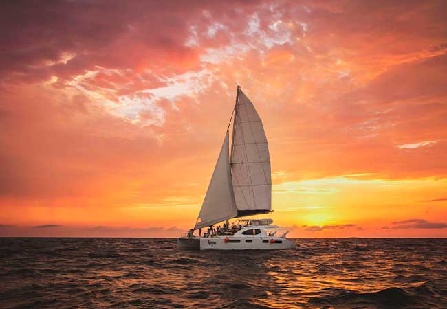 catamaran sunset tour go majestic majestic resorts