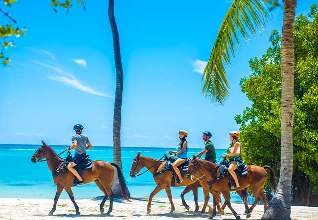 swim horse tour punta cana go majestic majestic resorts